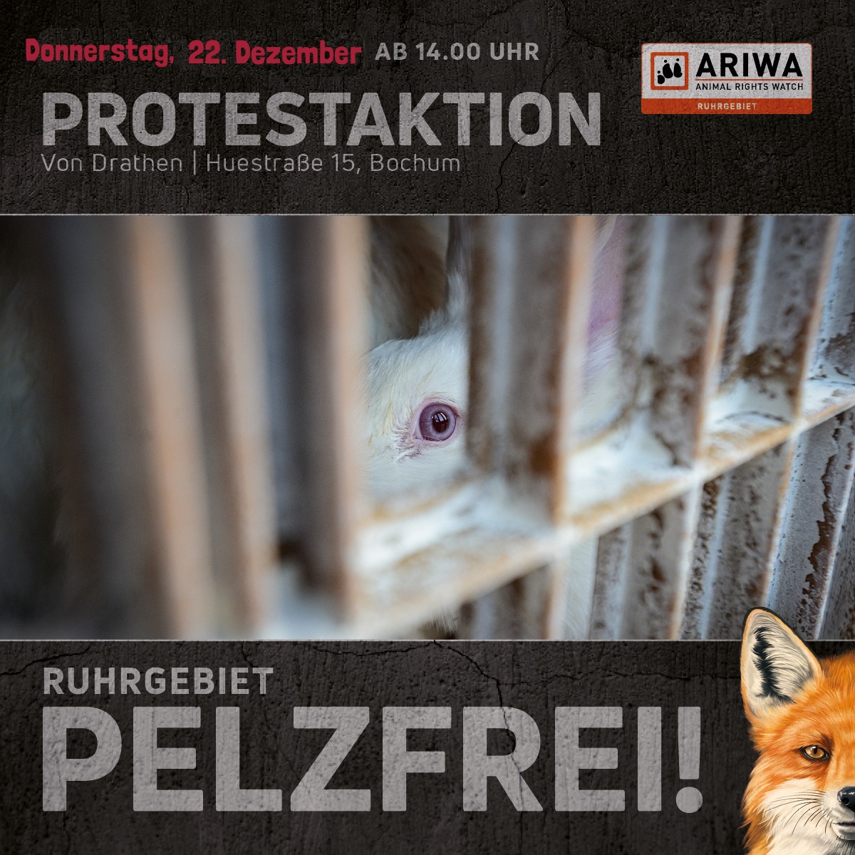 Tierrechtsgruppe Ruhrgebiet