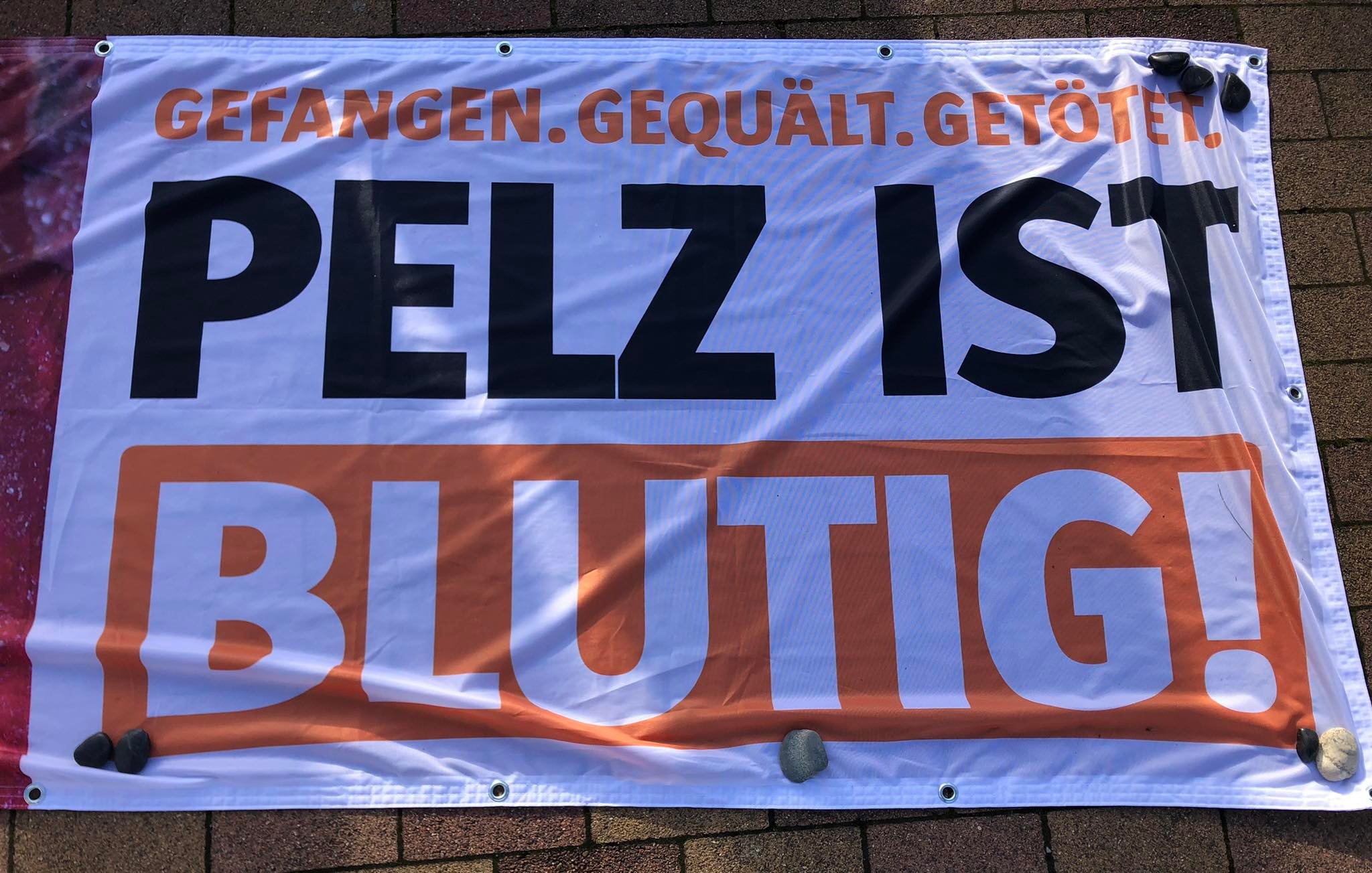 Tierrechtsgruppe Ruhrgebiet