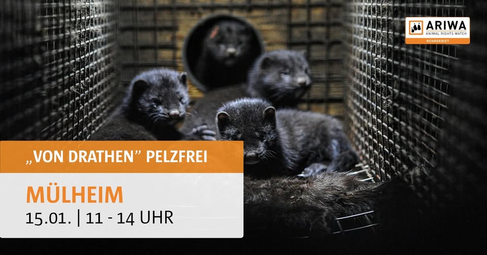 Tierrechtsgruppe Ruhrgebiet