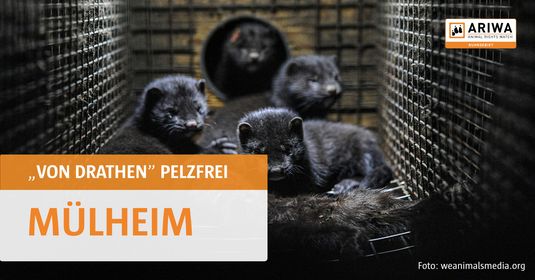 Tierrechtsgruppe Ruhrgebiet