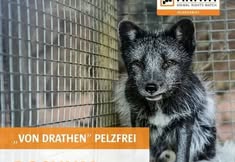 Tierrechtsgruppe Ruhrgebiet