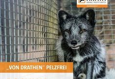 Tierrechtsgruppe Ruhrgebiet