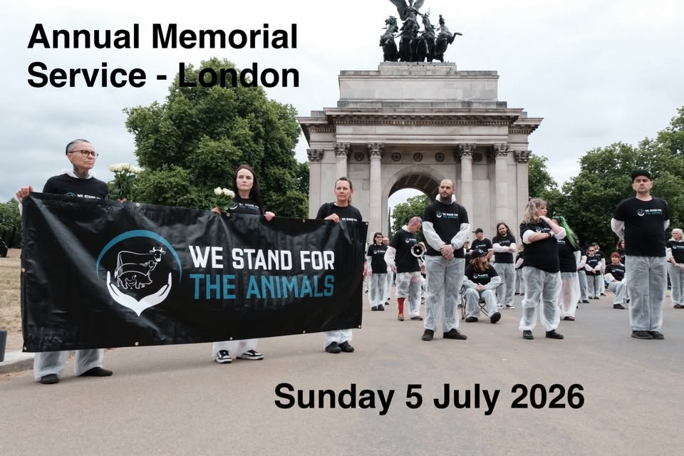 We Stand For The Animals