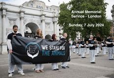 We Stand For The Animals