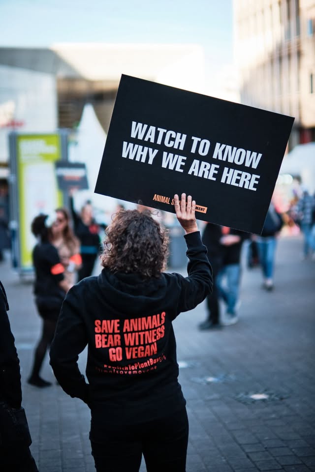 Animal Save Movement