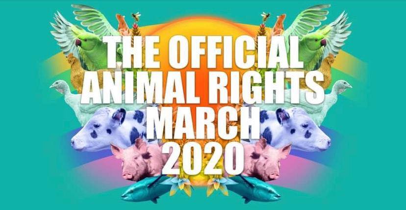 Animal Save Movement