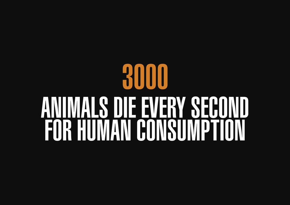 Animal Save Movement