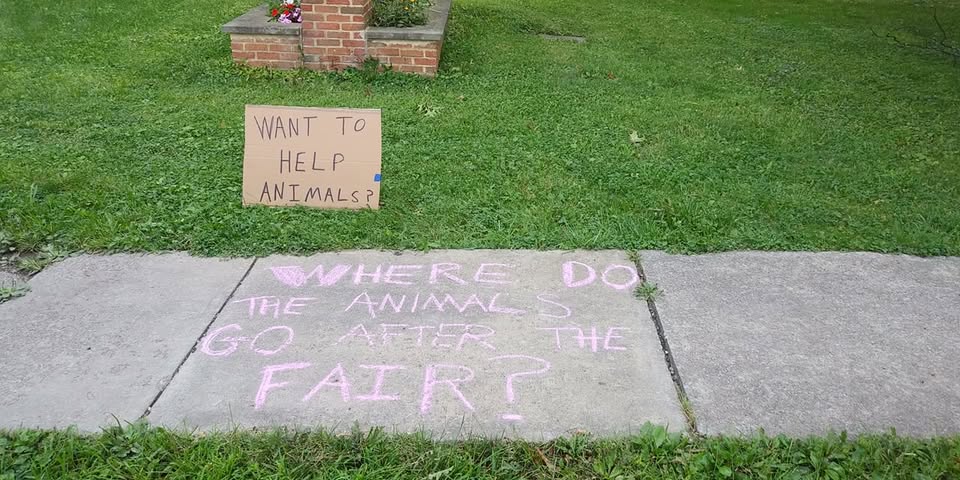 Animal Save Movement