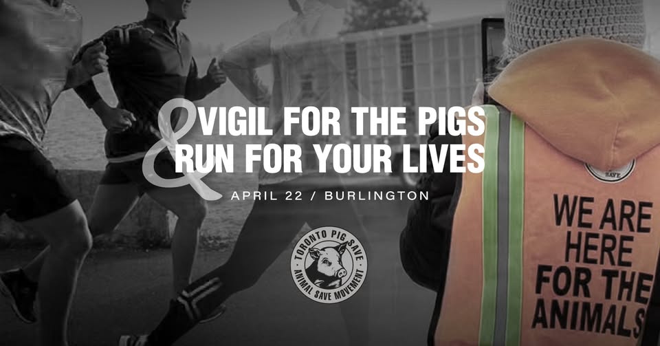 Animal Save Movement