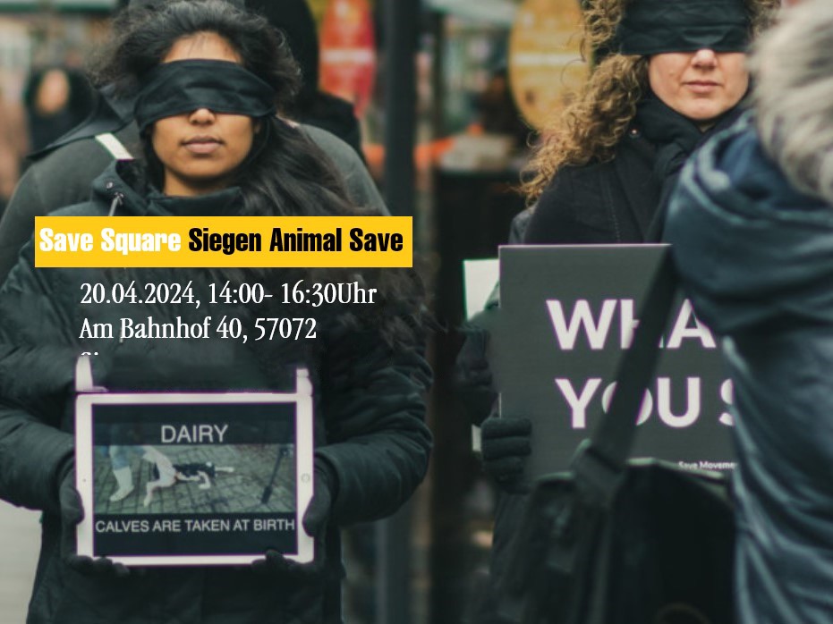Animal Save Movement