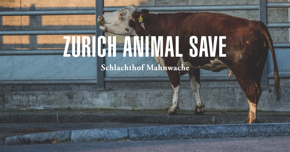 Animal Save Movement