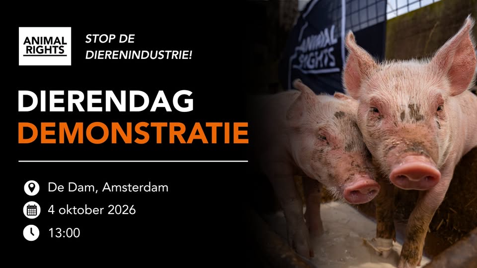 Animal Save Movement