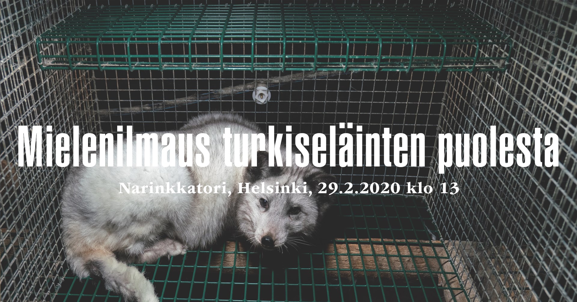 Animal Save Movement