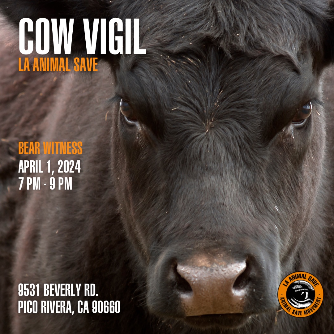 Animal Save Movement