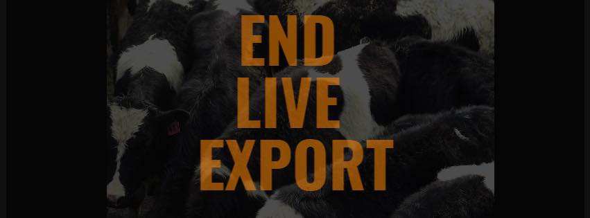 Animal Save Movement