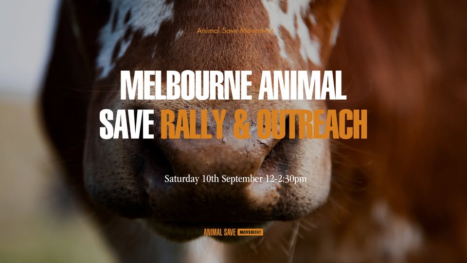 Animal Save Movement