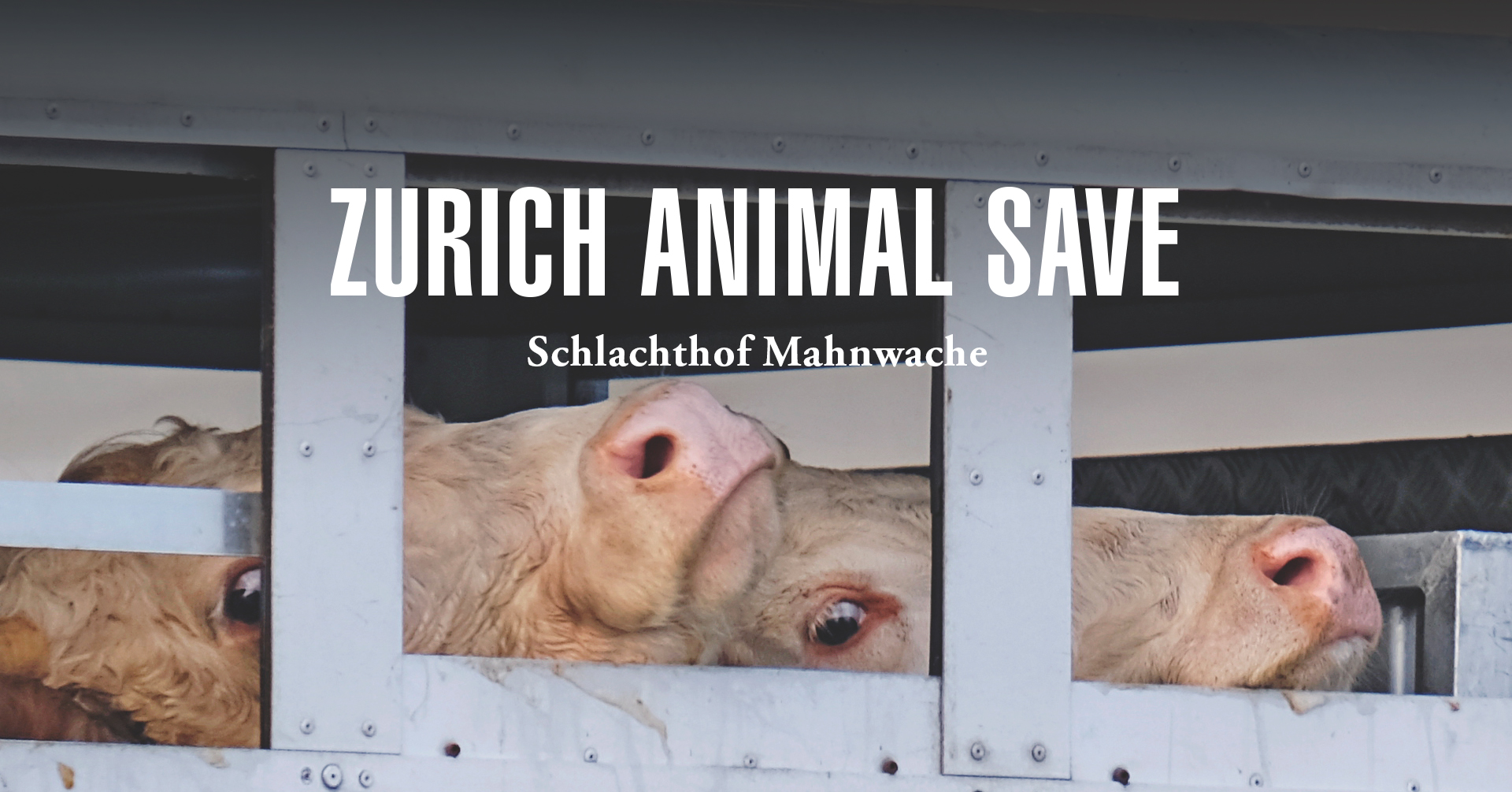 Animal Save Movement