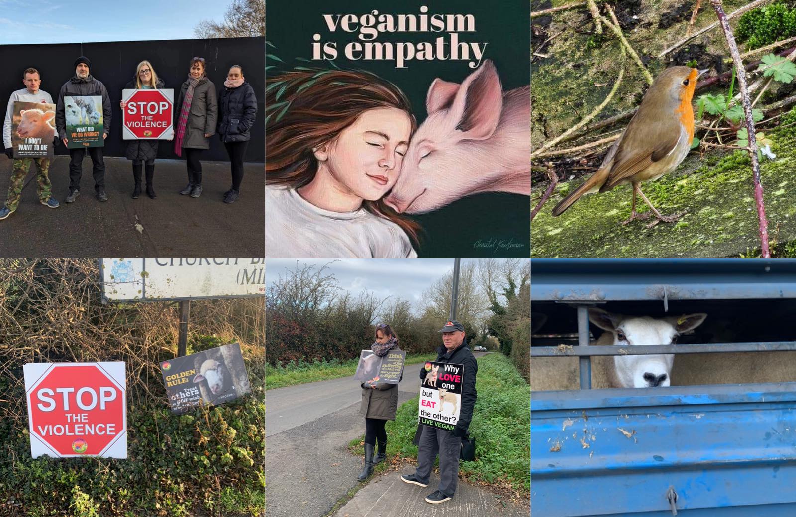 Animal Save Movement