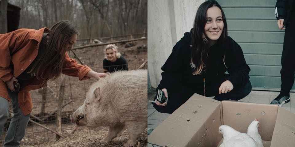 Animal Save Movement