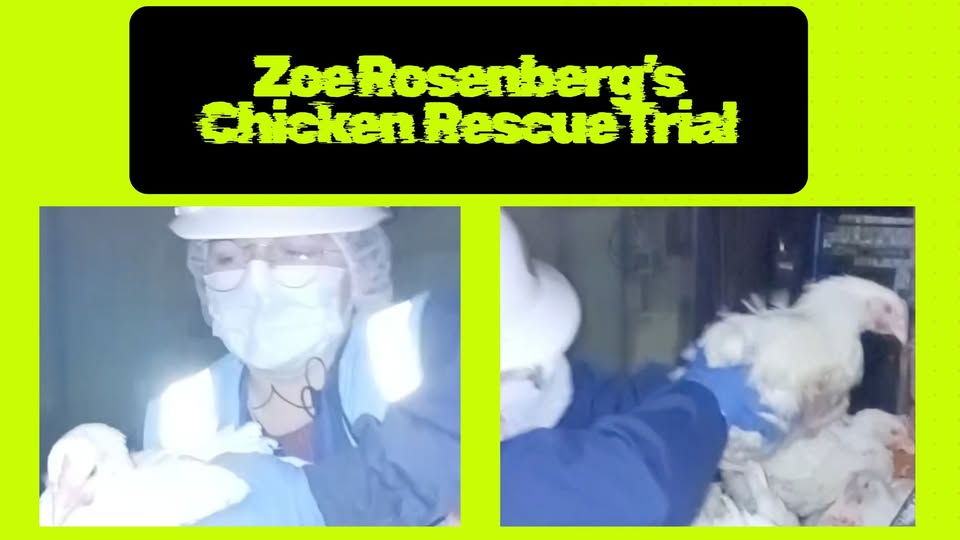 Animal Save Movement