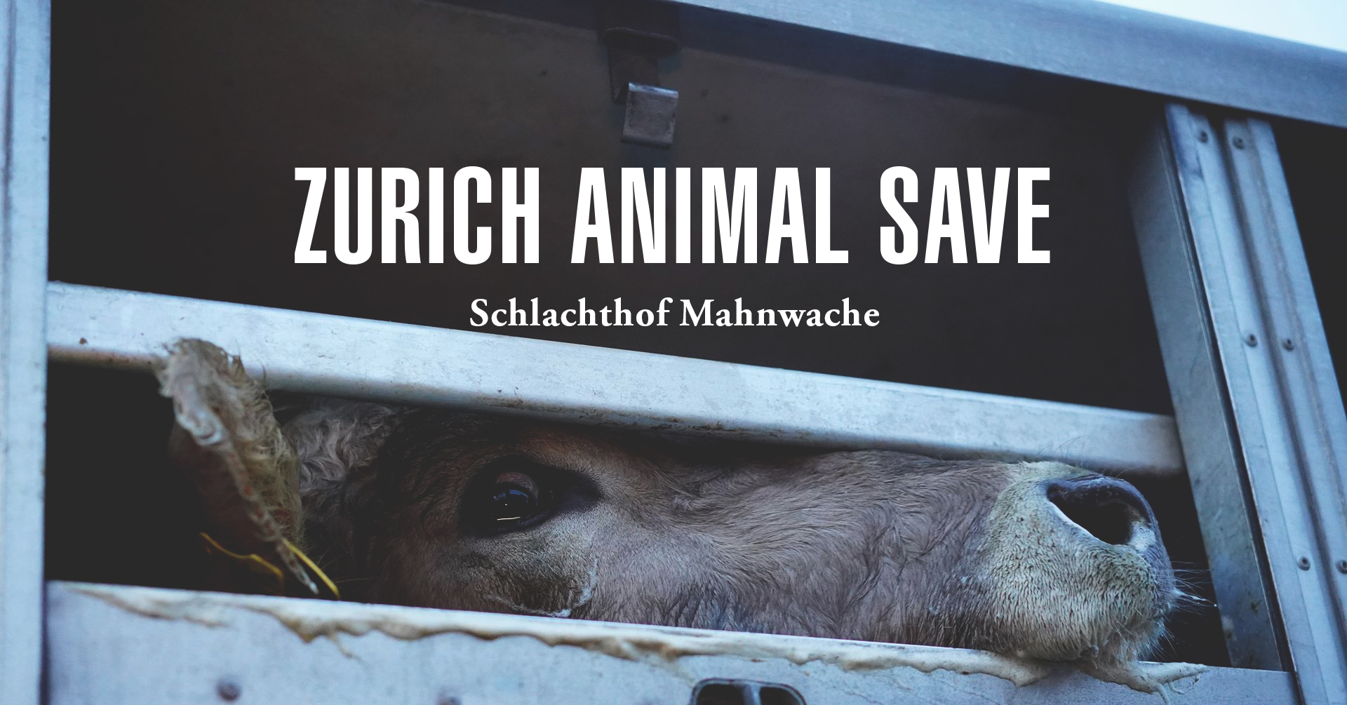 Animal Save Movement