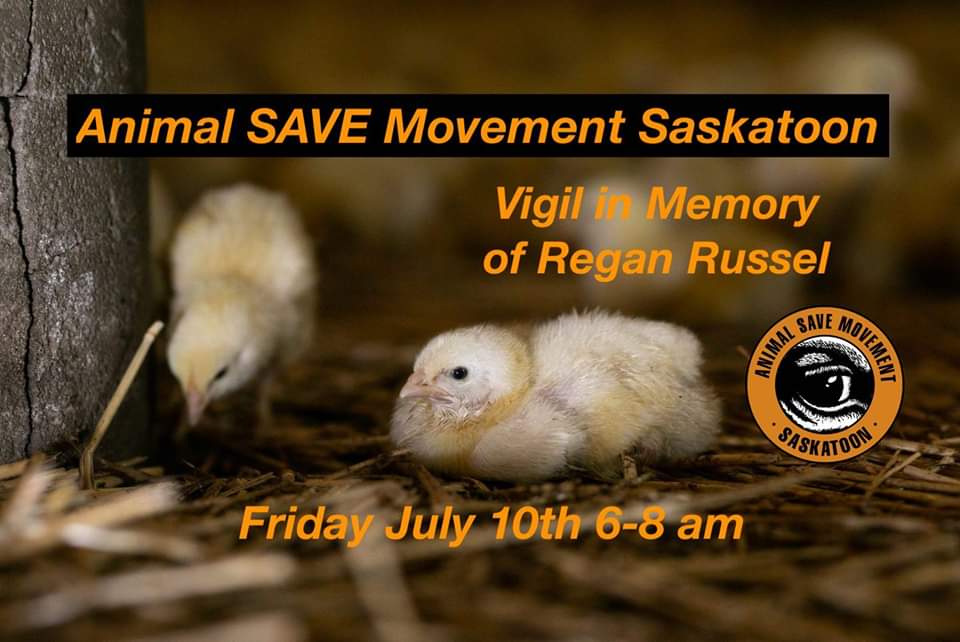 Animal Save Movement