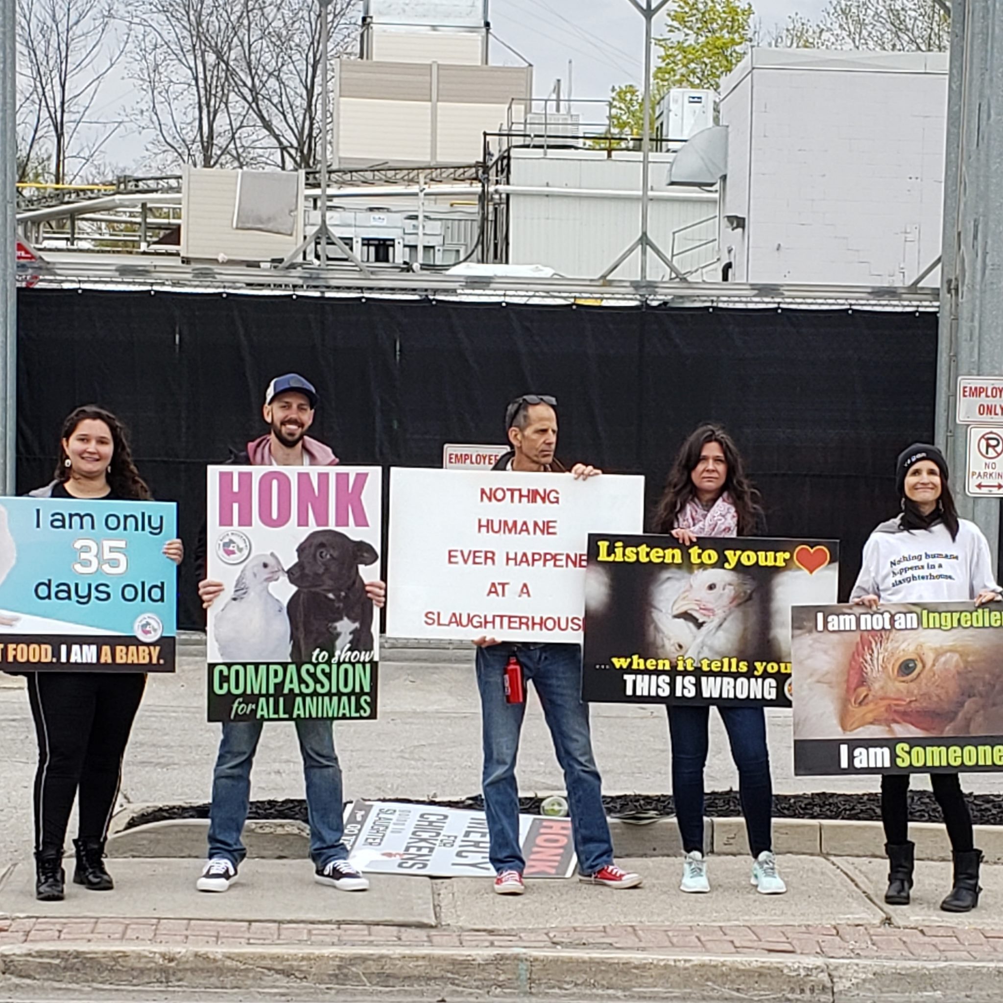 Animal Save Movement