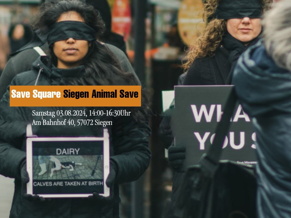 Animal Save Movement