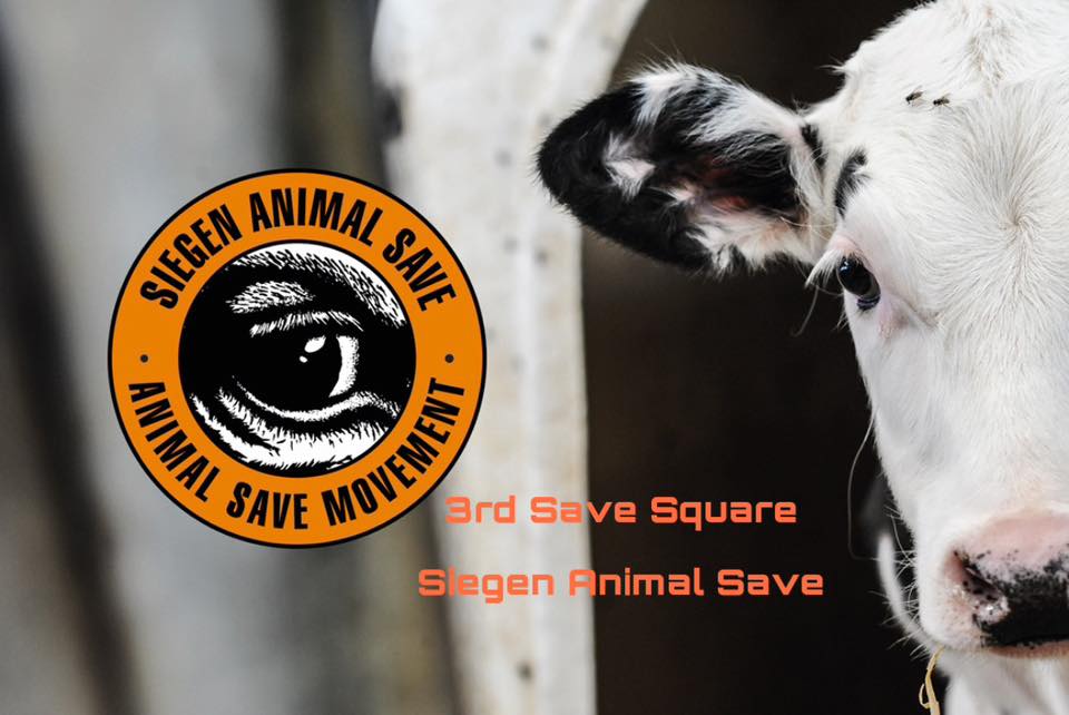 Animal Save Movement