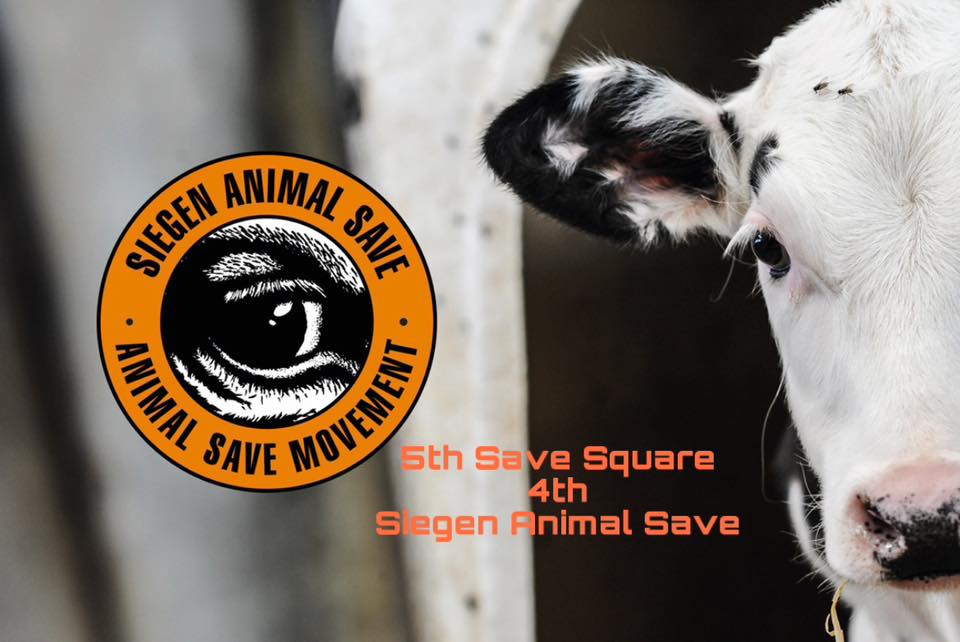 Animal Save Movement