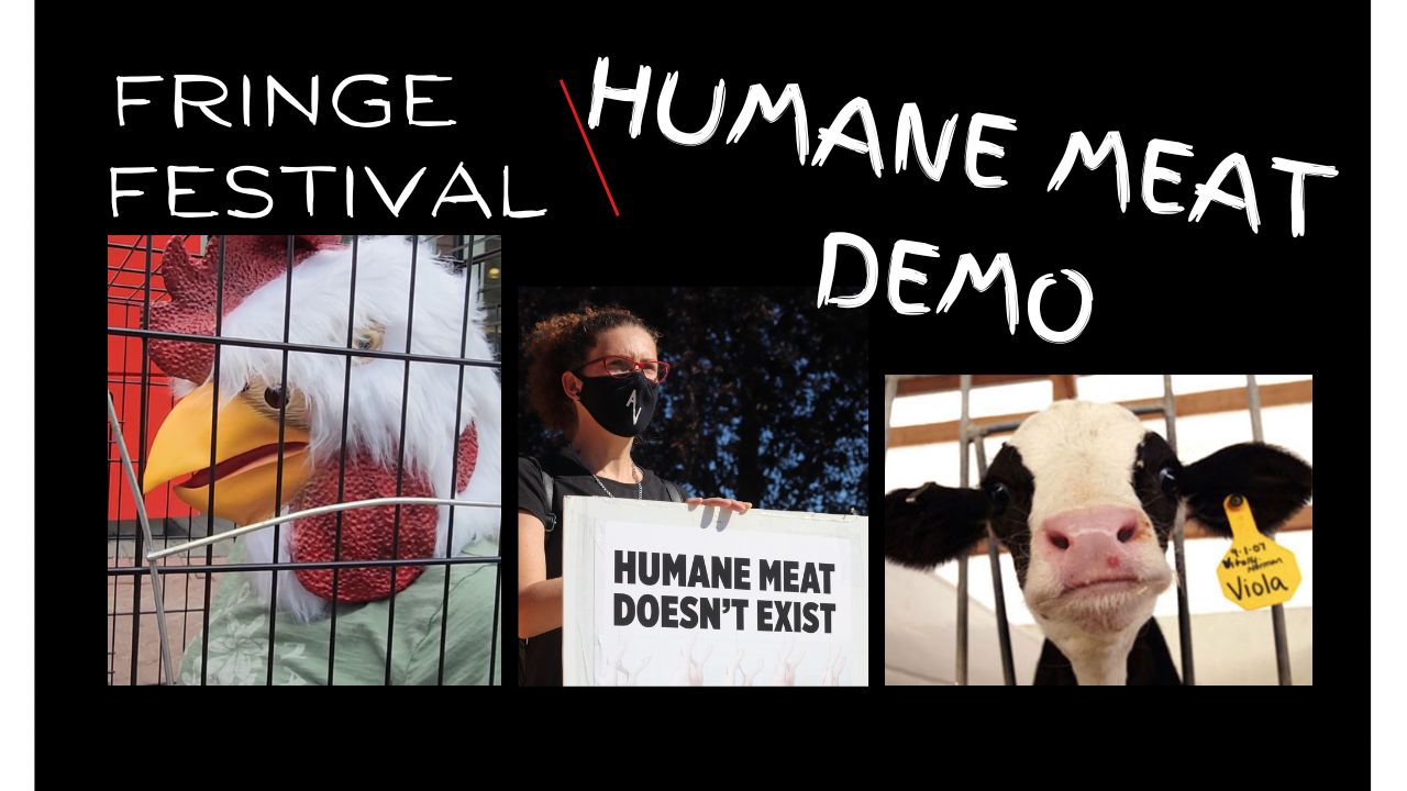 Direct Action Everywhere