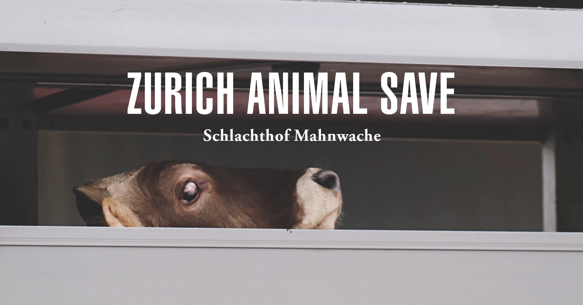 Animal Save Movement