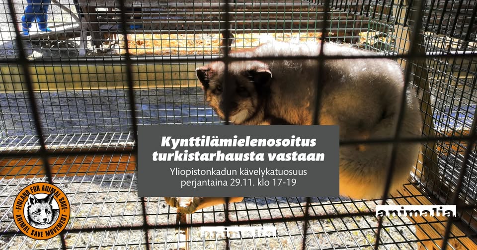Animal Save Movement