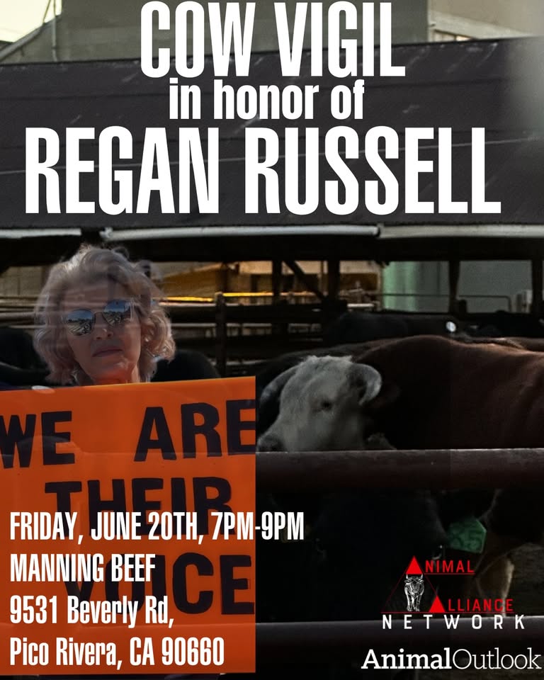 Animal Save Movement