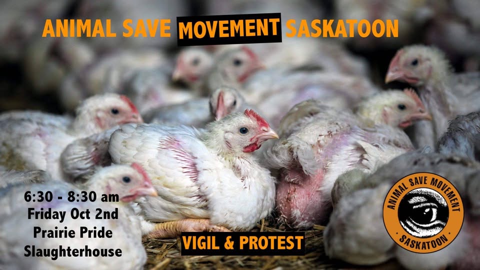 Animal Save Movement