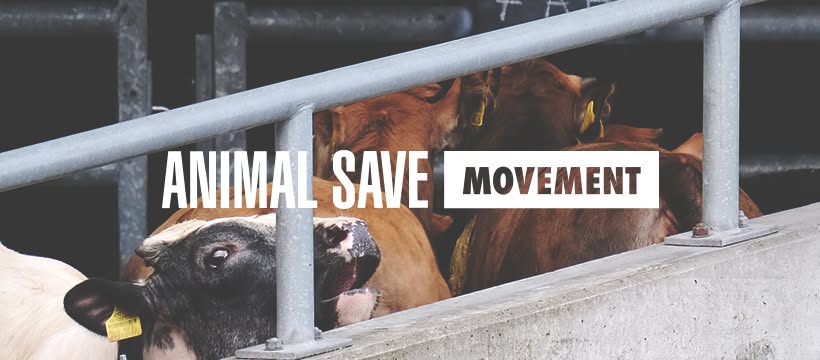 Animal Save Movement