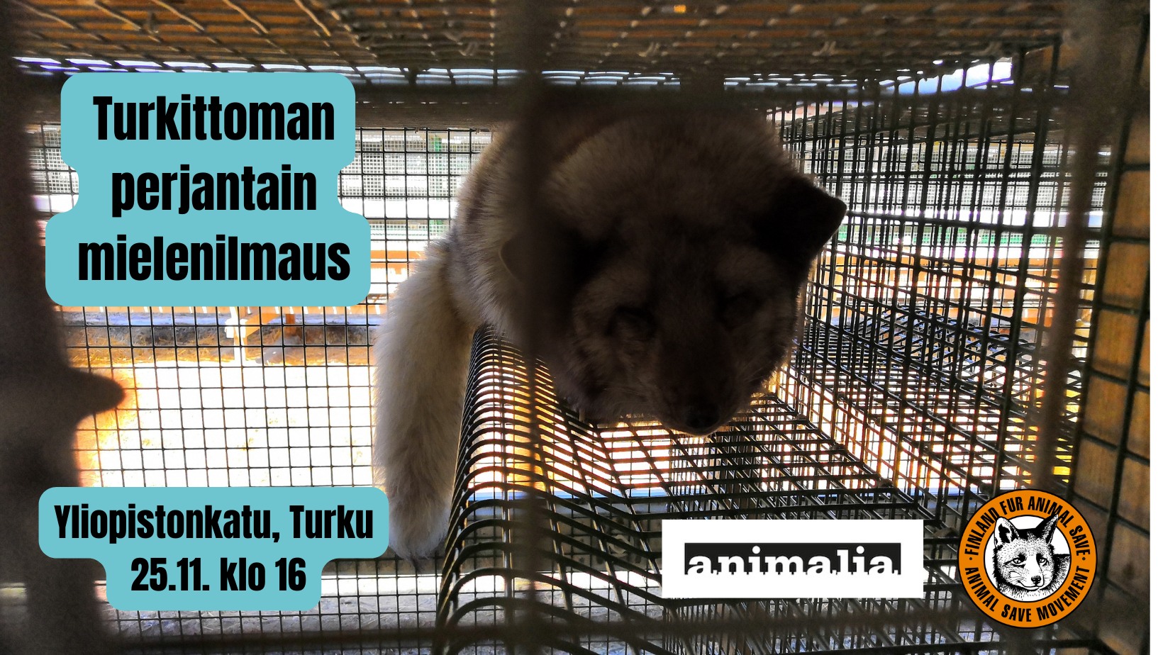 Animal Save Movement