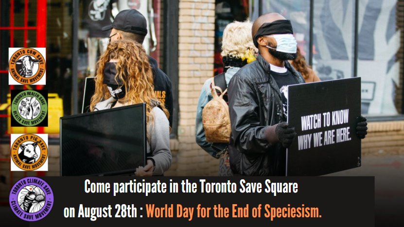 Animal Save Movement