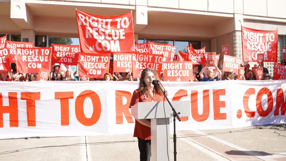 Animal Save Movement