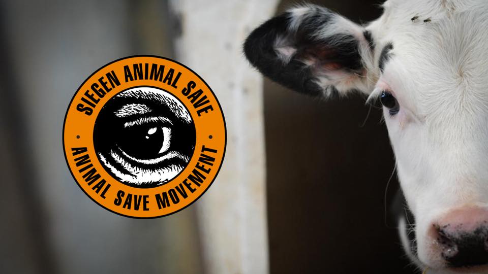 Animal Save Movement