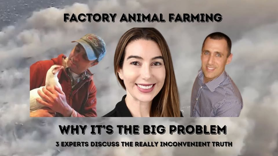 Animal Save Movement