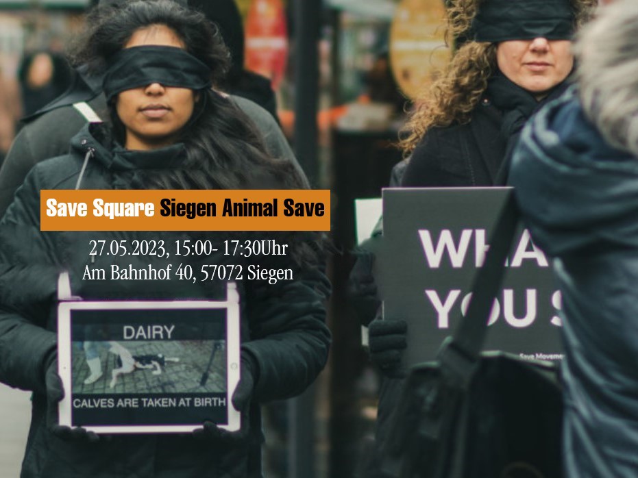 Animal Save Movement