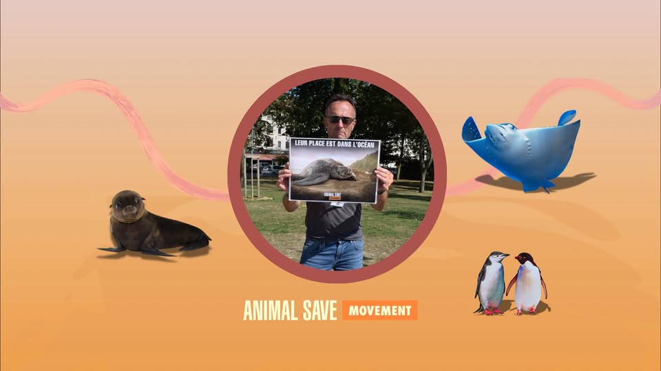 Animal Save Movement