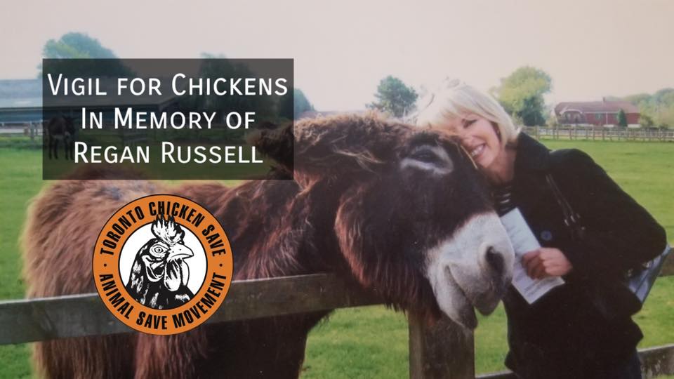 Animal Save Movement