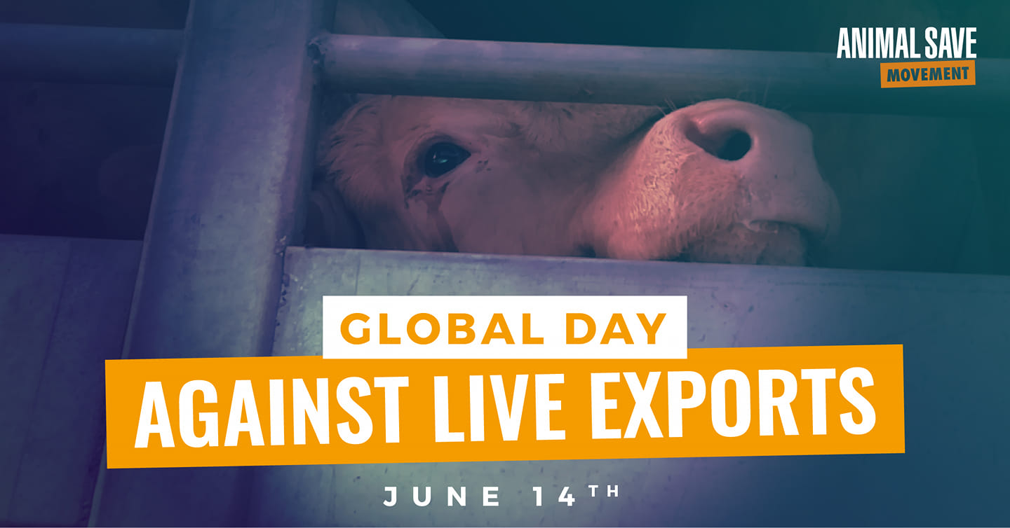 Animal Save Movement