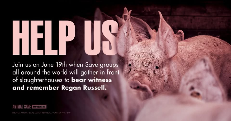 Animal Save Movement