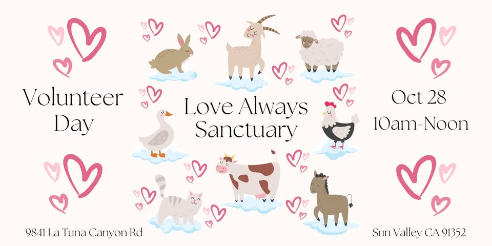 Animal Save Movement