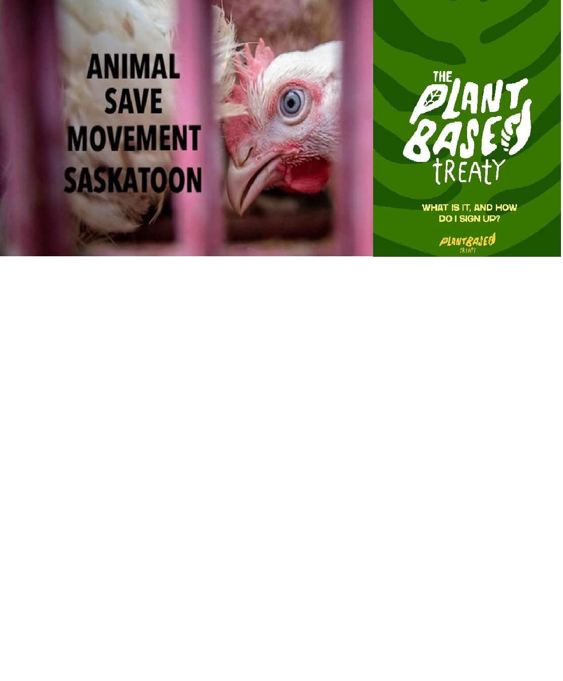 Animal Save Movement
