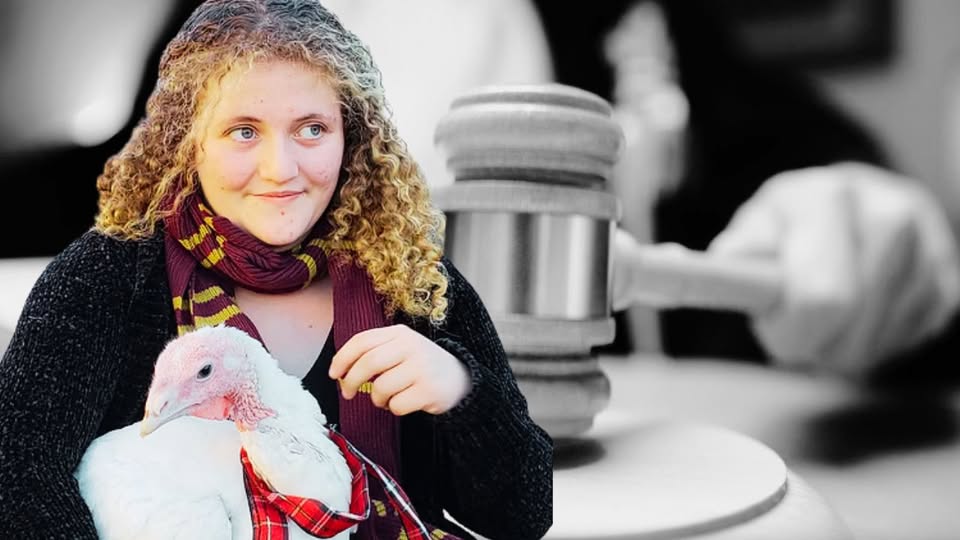 Animal Save Movement