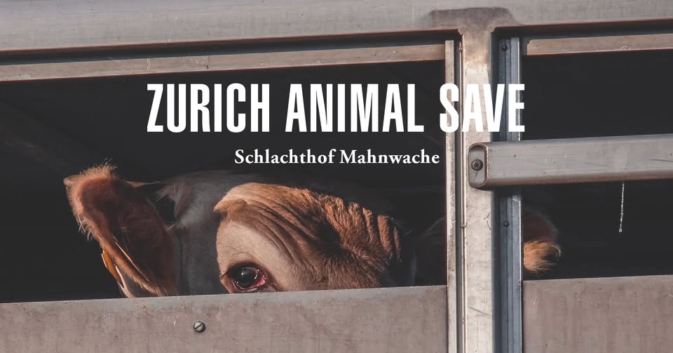 Animal Save Movement